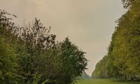 Calming outdoors