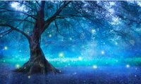 Nighttime stroll through a fairy forest