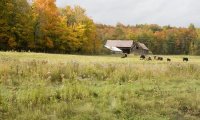 Our Family Farm