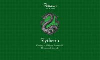 The Slytherin Common Room