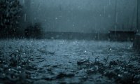 Perfect Rainstorm