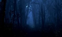 You've found hospitality for sleep in a fantasy forest...