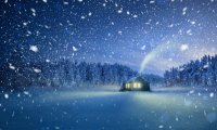 Go in the cabin, turn on the fireplace and stay away from the cold outside