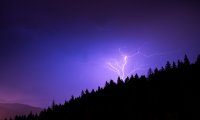 THUNDER STORM AND CROWS