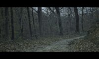 No people sound just forest sound like in small town
