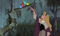 Sing and Dance with Aurora in the Woods