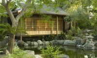 Outdoor Japanese garden