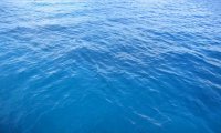 Whispers and Songs of the Mermaids at Sea