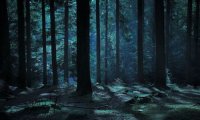 Walking through the Beacon Hills Preserve with Stiles and Derek