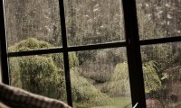 Relaxing atmosphere on rainy Sunday