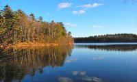 Thoreau's cabin at Walden
