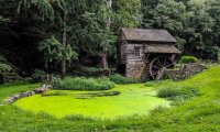 Small Country Farm