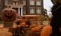 the sounds of the town...