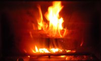 Purring cat by campfire