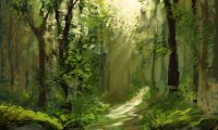 Fantasy Forest/Countryside
