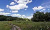 Road ro Phandalin - Walking