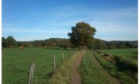 Hiking on a warum summer day