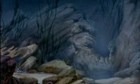 Under the Sea