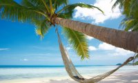 Relax in a hammock - waves, gulls, faint tropical beats