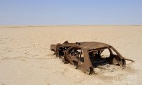 Muscle Car in Dessert