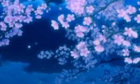Japanese inspired relaxation