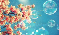 Enter the fairy kingdom