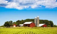 Enjoy the sounds of a day on a farm!