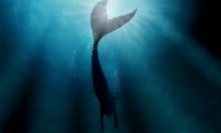 The Mermaid, William Butler Yeats