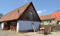 Cafe with small garden
