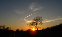 Late Spring Night