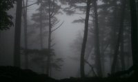 Whispering Hills