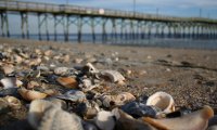 Holden Beach