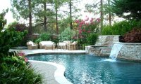 Backyard Pool with Friends