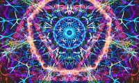 Vocal Transcendence