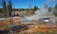 Walking in Yellowstone