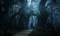 Eerie background in the Forest