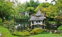 Gardening Near the Pond