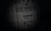 Is Grindelwald in New York?