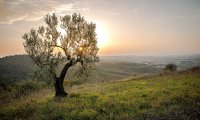 Relaxing Meditation Atmosphere