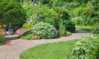 A relaxing walk through a garden.