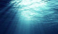 The feeling of looking at the sky from underwater