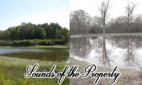 Sounds of the Property