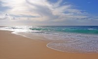 A Relaxing, Sunny Day on the Beach