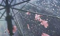 Rain and Thunder