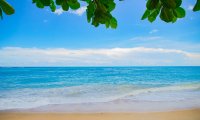 Relaxing Beach Scene