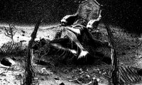 The Dead Float