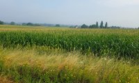 a relaxing day on the farm away from the cares of the world