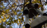 Gentle Wind Chimes
