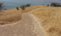 Stroll Through the Hills