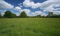 Imagine a calm, quiet field.